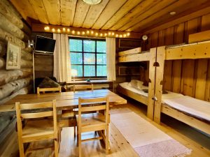 Penthouses with Pyhä